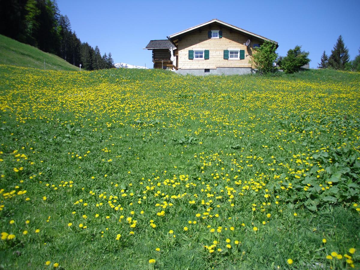 Maisaess Lifinarblick Villa Schruns Exterior photo