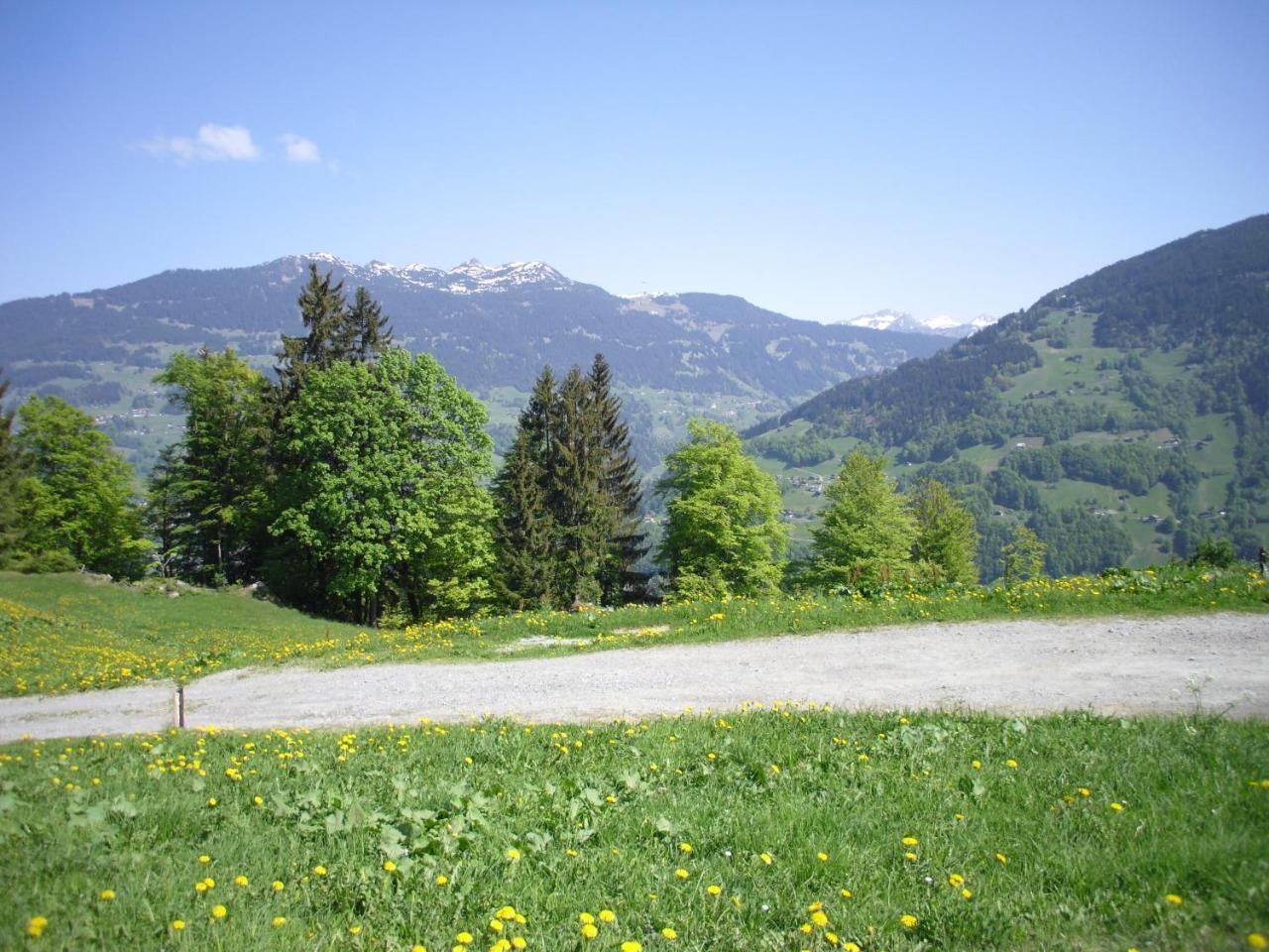 Maisaess Lifinarblick Villa Schruns Exterior photo